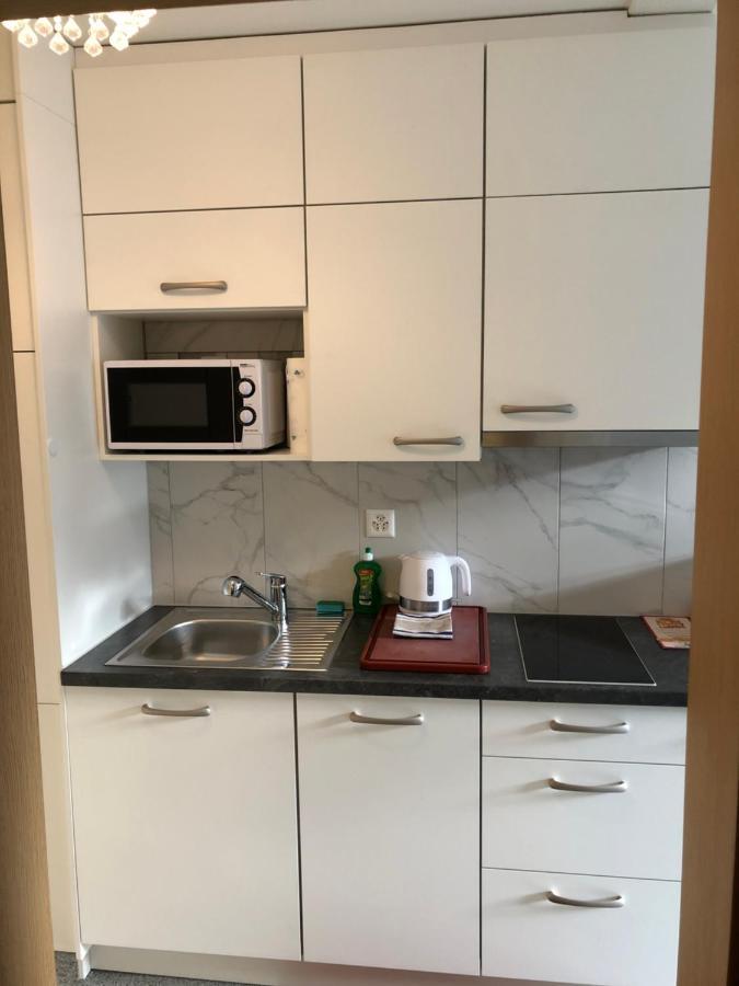 אינטרלאקן Apartment By Mario מראה חיצוני תמונה